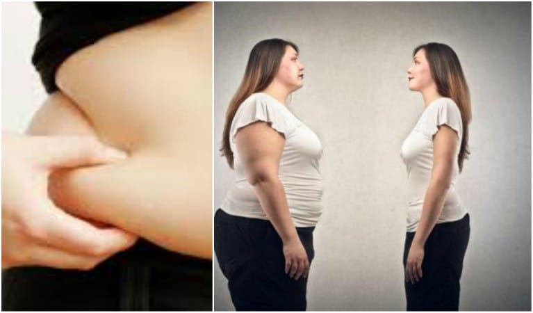 obesity can cause by  metabolism