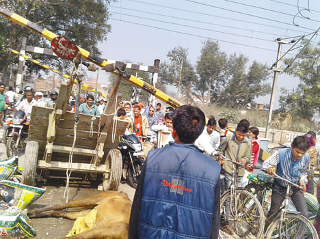 The death of a horse on the railway gate Jinjk, jam