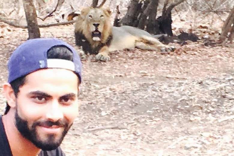 Sir Ravindra Jadeja selfie in front of lion 