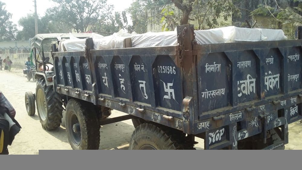 tortise smgling in kaushambi