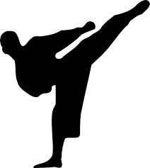 taekwondo championship, team went to ludhiana, championship, muktsar, jalandhar, punjab