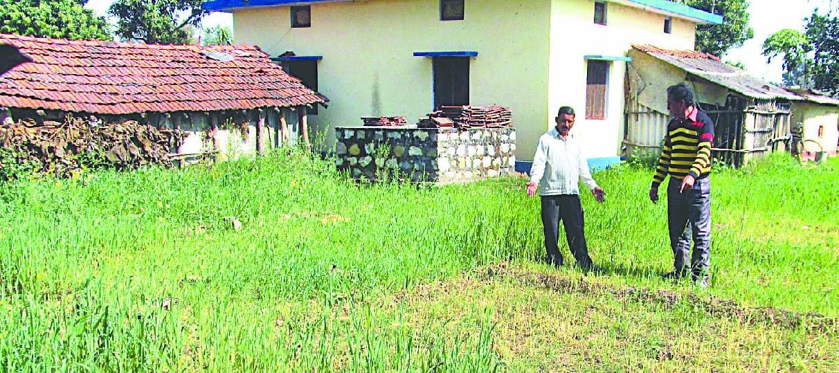 Crop damage in banbasa