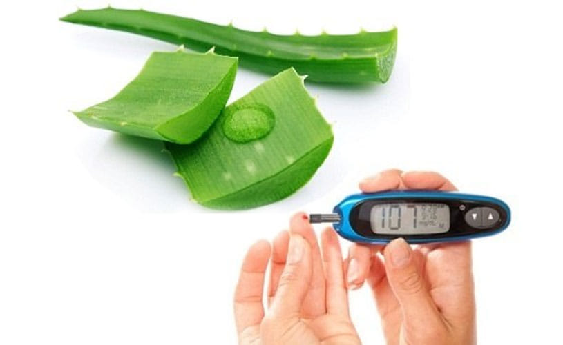  use aloe vera to treat diabetes at home