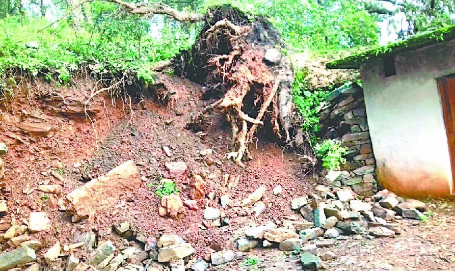 Crisis Management Cell prevent forest fires
