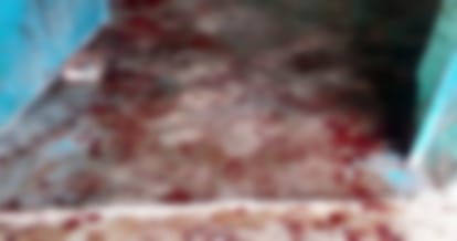 man killed girl friend at rohtak of haryana