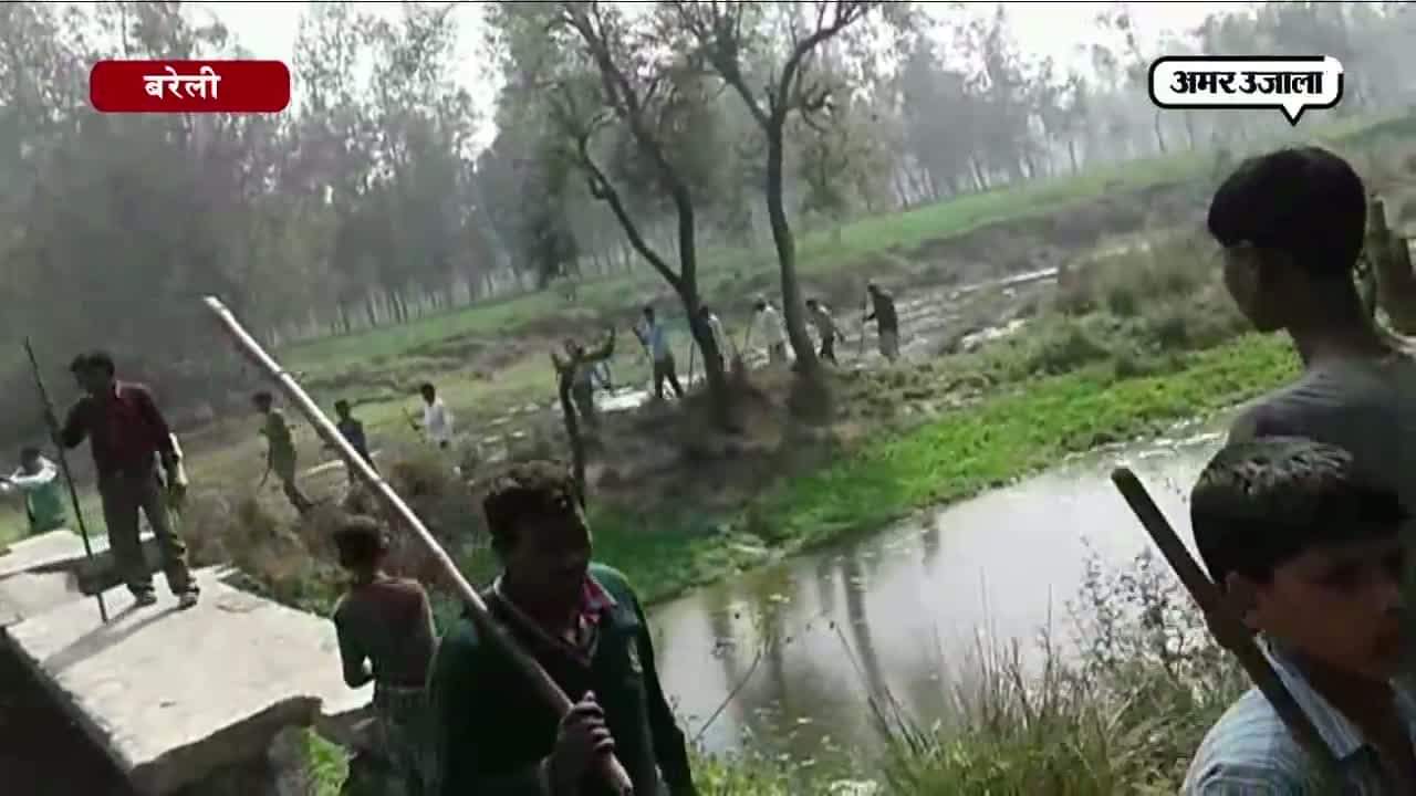 आदमखोर कुत्ते