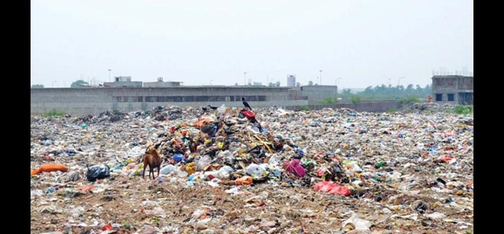 3 years old girl sexually assualt then her body found in garbage