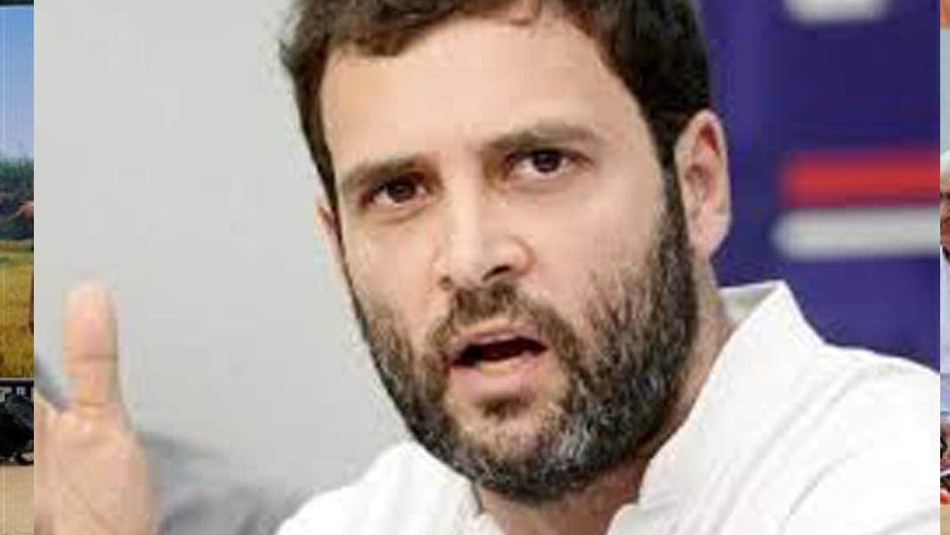 राहुल गांधी