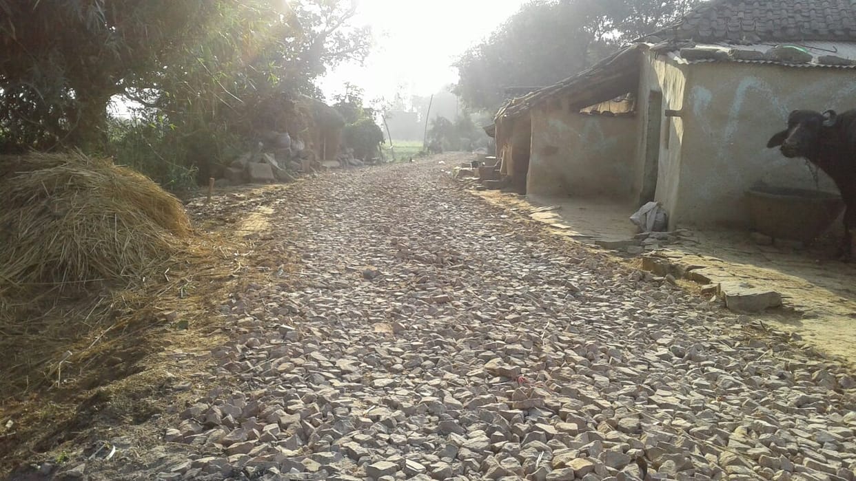 The road did not vote