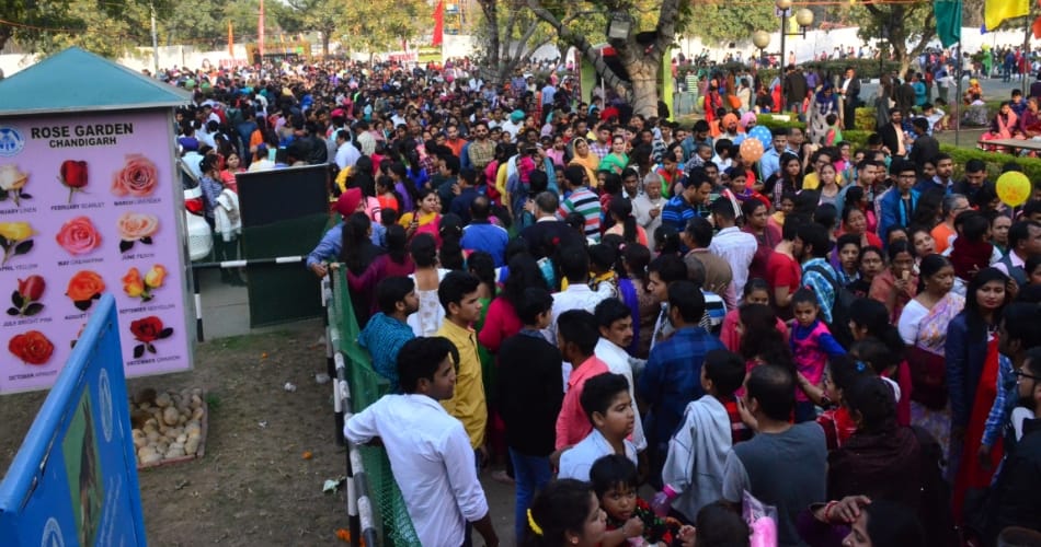 45th chandigarh rose festival third day, chandigarh news
