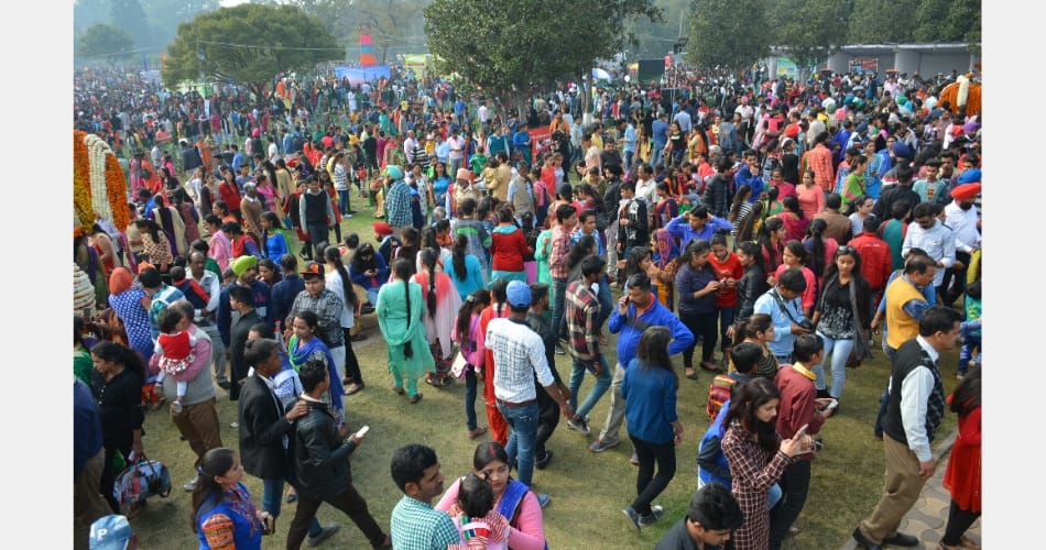 45th chandigarh rose festival third day, chandigarh news