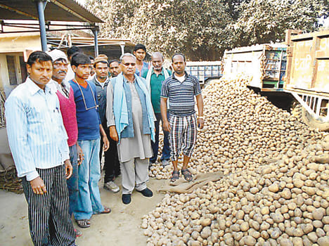 Satnpur open market, has plenty potato
