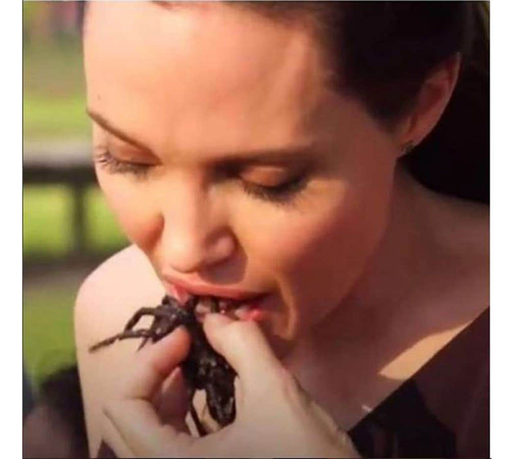 Angelina Jolie enjoy dry chips like spiders and tarantulas