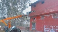 sonipat, bull on first floor