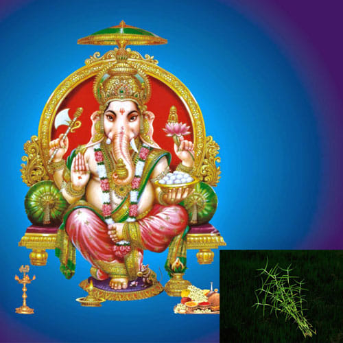 Impress Lord Ganesha By Doing These Things On Wednesday 