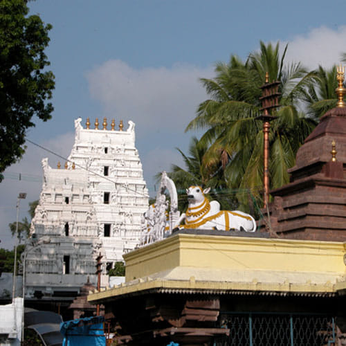Maha Shivratri Special Shiva's Twelve Jyotirlinga 