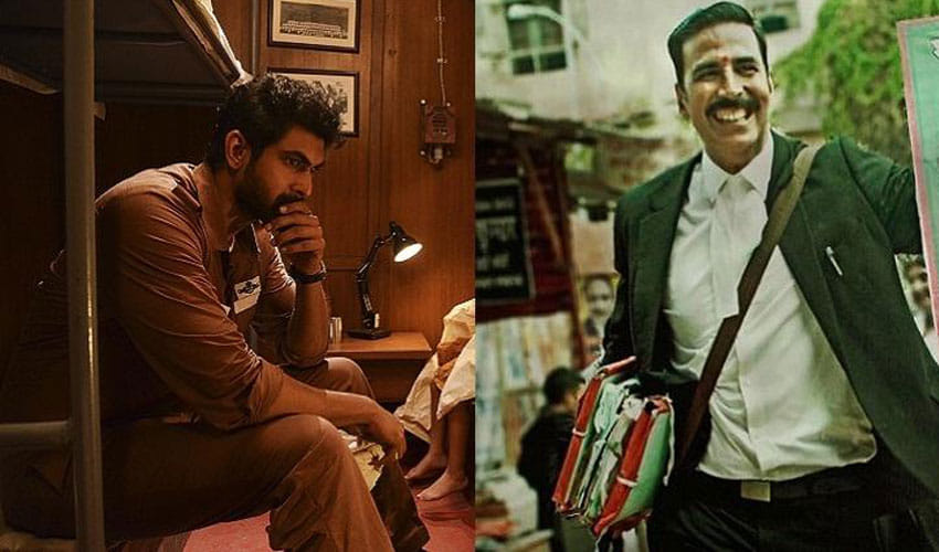 box office collection of jolly llb 2