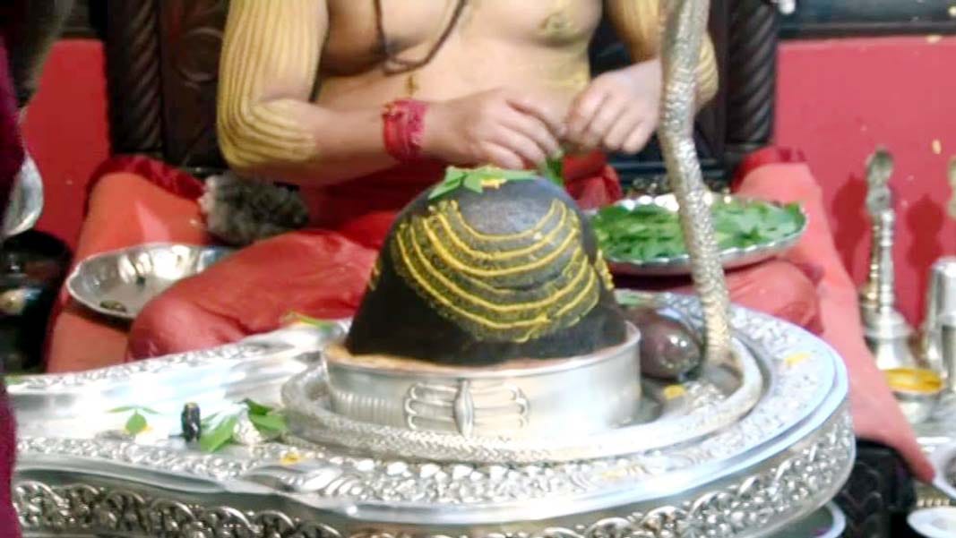 how to please lord shiva on maha shivratri 