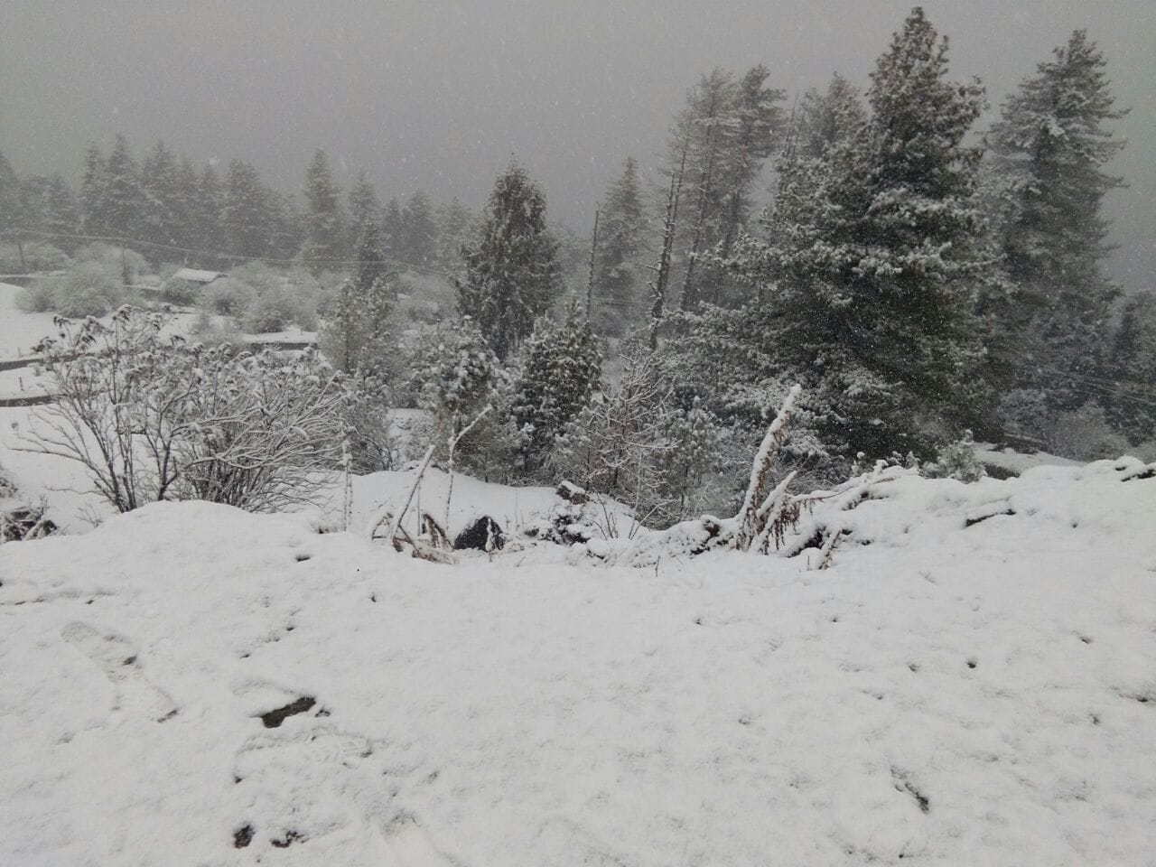 beautiful snowfall in auli