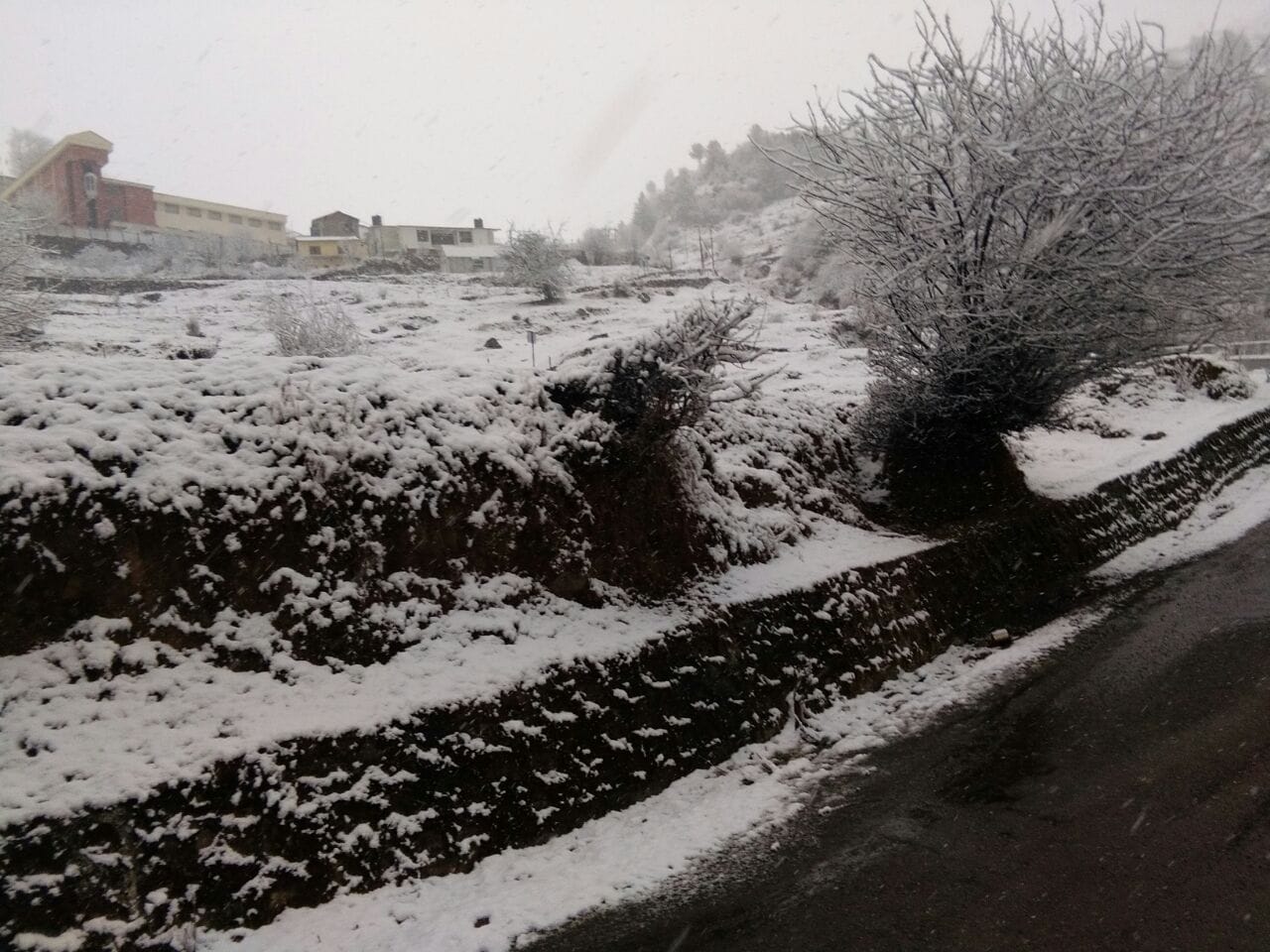 beautiful snowfall in auli