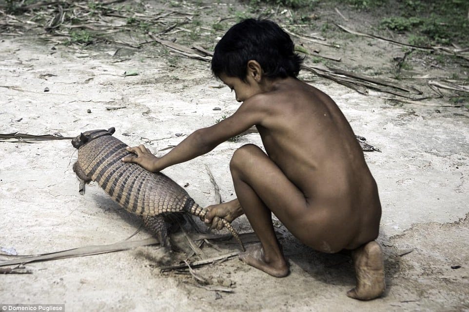 tribes animal breastfeeding 