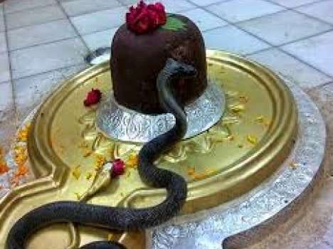 see a weird shiv temple, where snakes dont bite, kaithal news