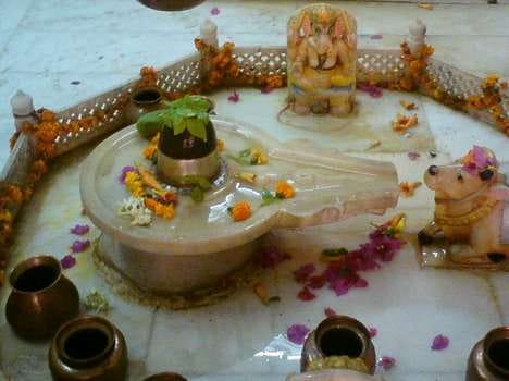 see a weird shiv temple, where snakes dont bite, kaithal news
