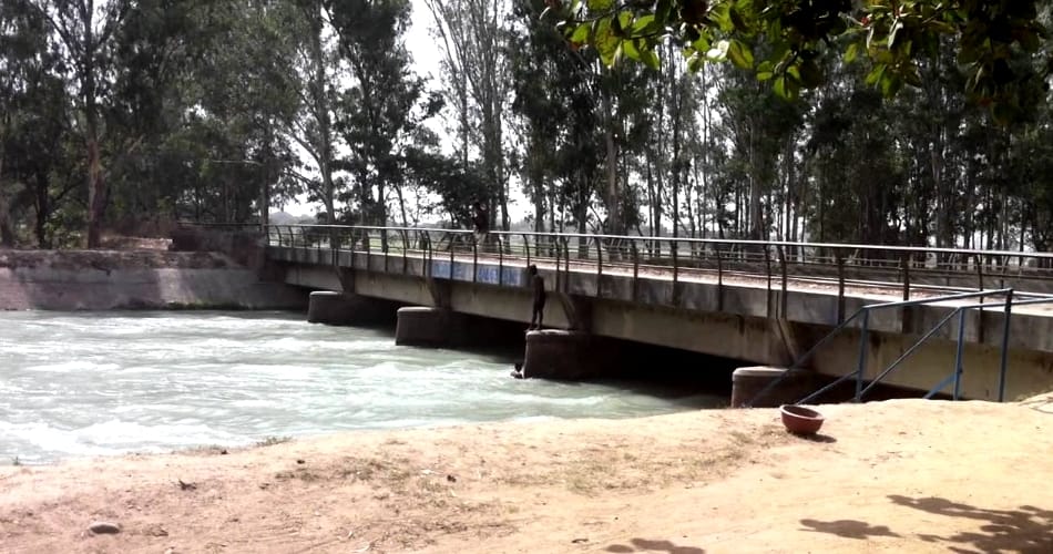 Innova falls into Bhakra canal, 7 people drowned, patiala news