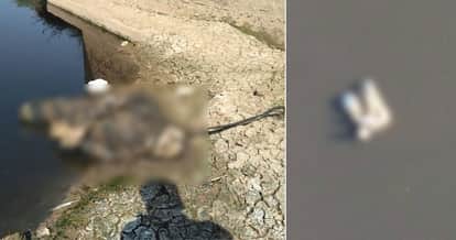 boy dead body found in bad condition from canal at jakhal village of fatehabad, haryana