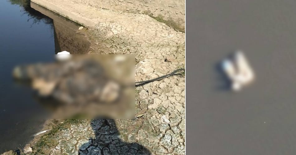 boy dead body found in bad condition from canal at jakhal village of fatehabad, haryana
