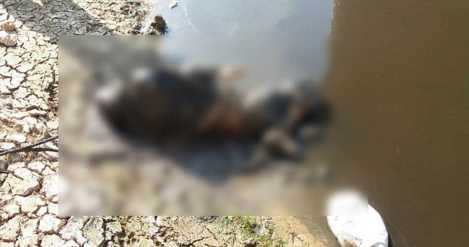 boy dead body found in bad condition from canal at jakhal village of fatehabad, haryana