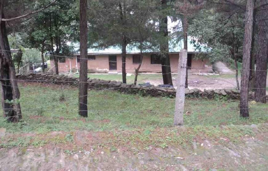 Lack of maintenance has become pasture Children Park