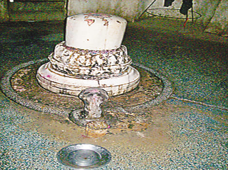 Increases every year Mahadev Bhureshwar