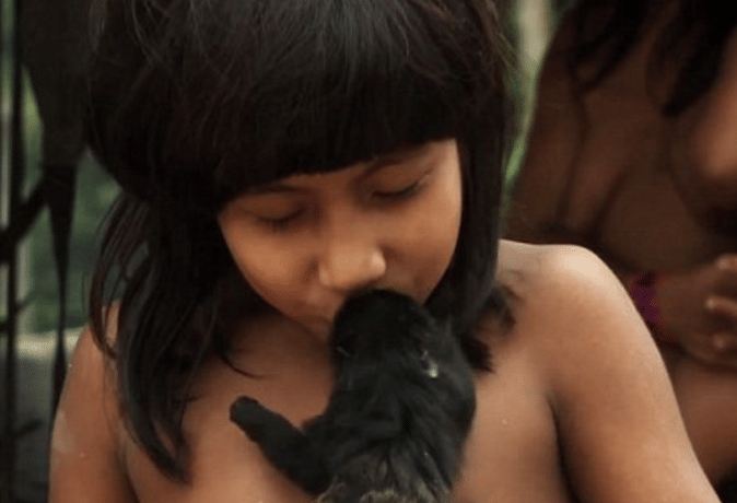 tribes animal breastfeeding 