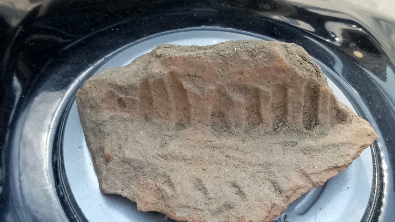 ASI team will learn the secrets buried in the ground excavation
