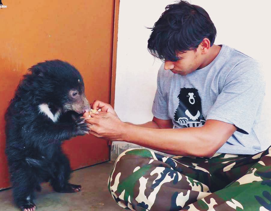 Bears Rescued In Keetham Ten Years Update News Agra