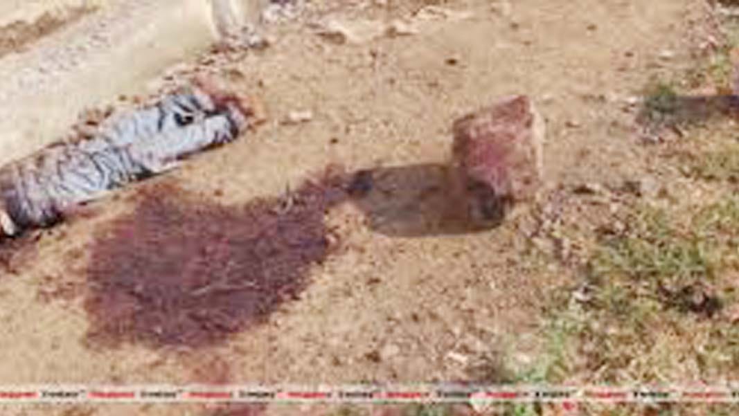 murder in fatehpur