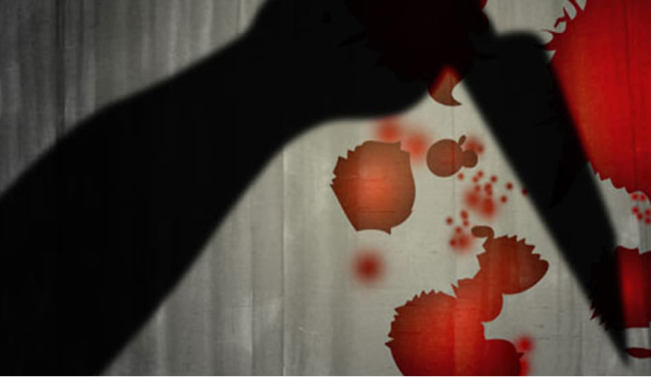 girl knifed her innocent niece for her boyfriend 