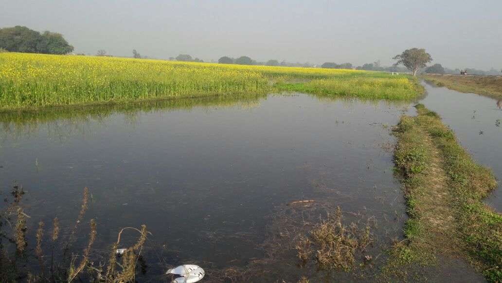 farmer aggriculture on forcasting of atmoshpher