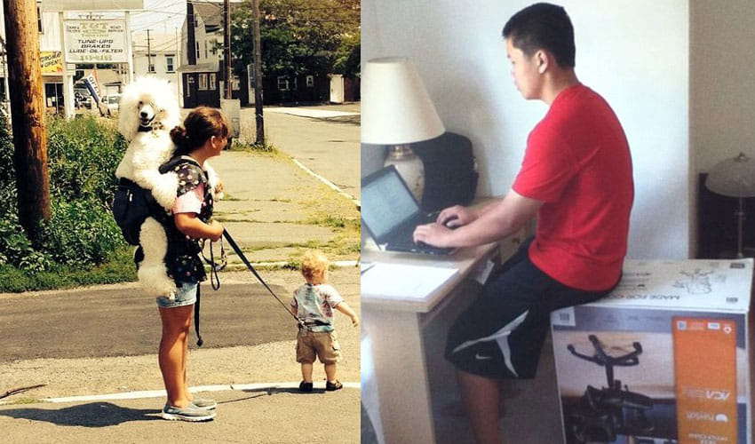 These Pictures Will Make You Laugh Till Your Stomach Hurts