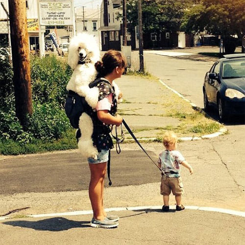 These Pictures Will Make You Laugh Till Your Stomach Hurts