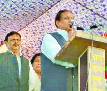 no shortage of donkeys in Gujarat : Azam