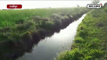 Farmers suffer due to Damaged minor in Ghazipur 
