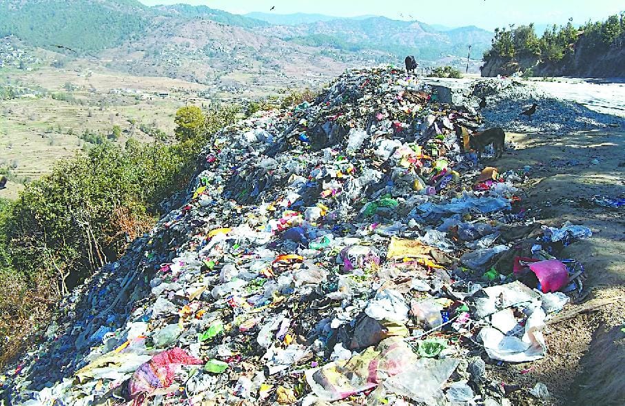 no polythene