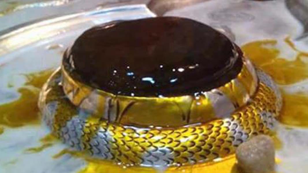 shivmay hue bhrigu ki nagari