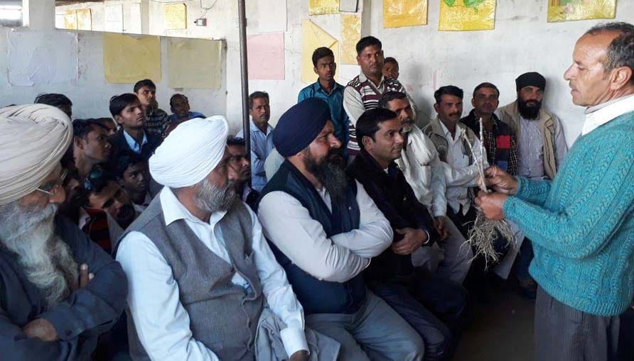 The district will promote the cultivation of Save