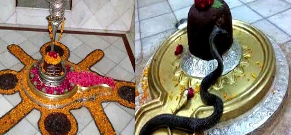 Chandigarh, Sawan Month, Nag Panchami Unique Temple of Lord Shiva