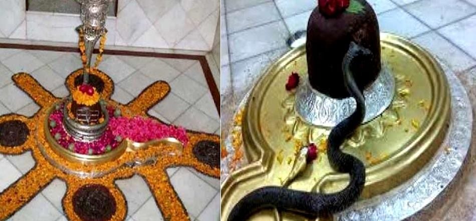 this maha shivratri will be special for pilgrims