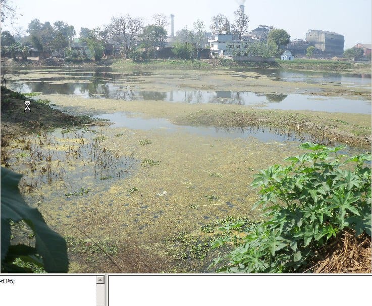 Public life was poisoned industrial pollution