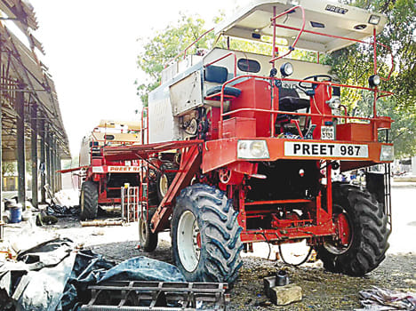 Farmers engaged in harvesting